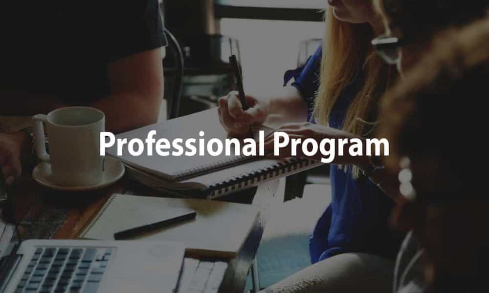 Study in Malaysia with internship, Professional Programs